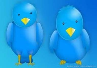 get you 1,000+ New Twitter Followers into your Twitter Account