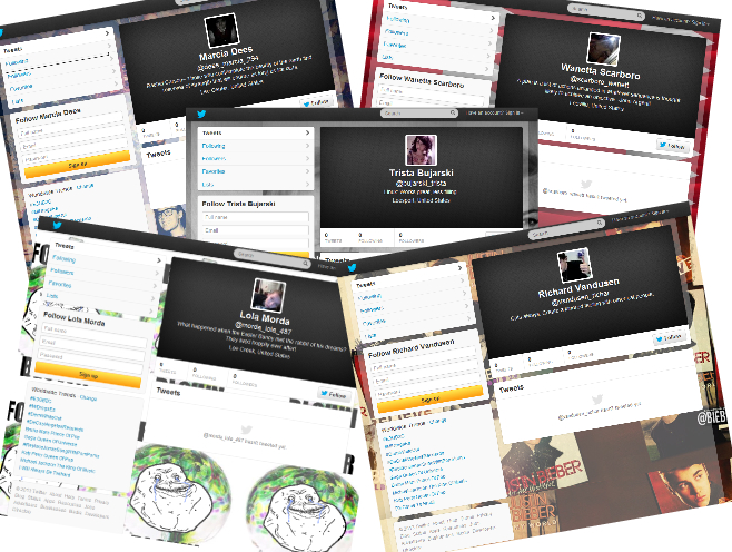 Give You 1000 Fully Profilled And Verified Twitter Accounts