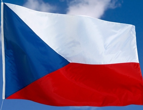 translate a document from English to Czech