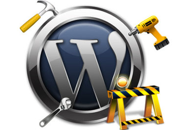 fix Your Wordpress Problem or Error or Issue