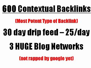 manually build 600 blog network backlinks, Drip Feed for 30 days.........