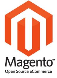 provide MAGENTO installed under professional hosting 20 GB