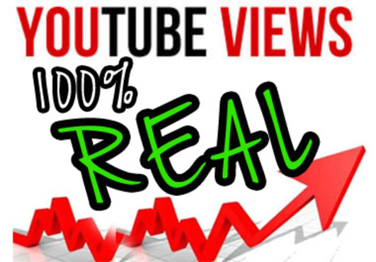 give you 1000 REAL youtube views and 25 likes with a natural pattern over a full week 140+ views a day............