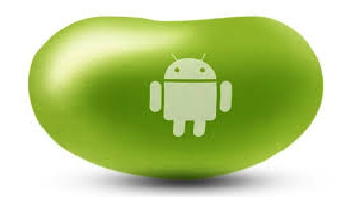Give You Step by Step How To Build Your Own Android App