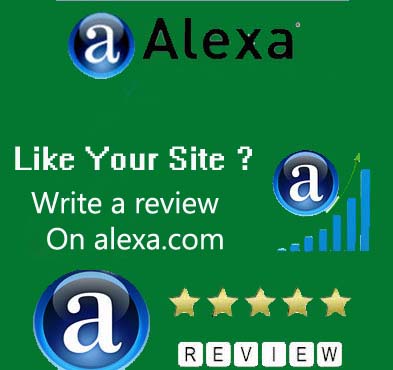 give You 30 ★★★★★ Star Organic Alexa Reviews with 5 High PR Bookmark About Your Website By Different People