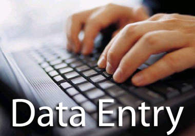do any type of DATA ENTRY / COPY PASTE work 