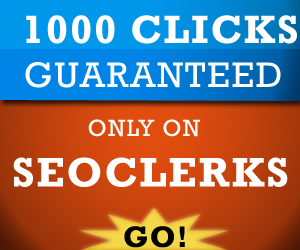 provide 1000 real human guaranteed CLICKS to your website, blog or affiliate link plz read the description before placing your order
