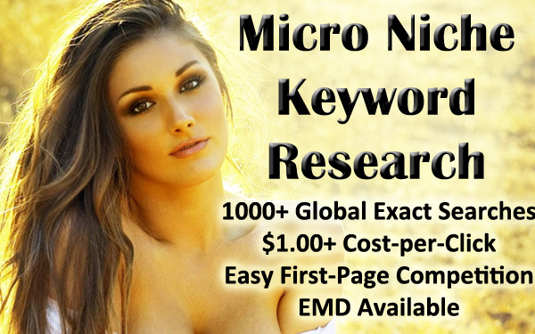 provide you a high quality micro niche site keyword