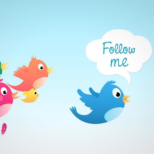 give you 45000 Real Looking Twitter Followers Express To Your Account in 24hours