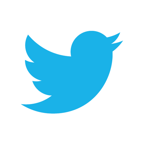 Change Your Twitter Name With NONAME(FillBlank)