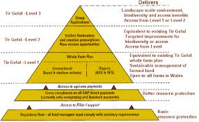 create a penguin and panda Safe linkwheel and pyramid on 1420 social bookmark and 100 Web 2 properties high pr,the best seo for