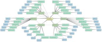 create High PR Link Wheel to dominate search engines for