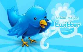 increase 14444 Plus REAL looking Twitter Followers To Any Twitter Account No Unfollows No Eggs