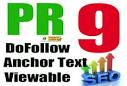 build 20 PR9 web 20 blog pyramid with your keyword in domain name @!