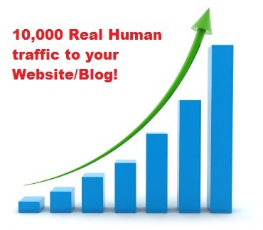 give you Real 10,000 Human Traffic to your website/blog