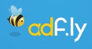 show you how to make 100 dollars daily with adf.ly