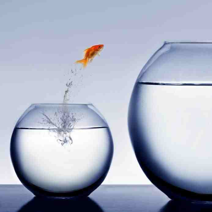 provide professional advice on how to get promoted