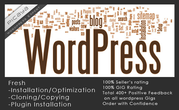 install, fix, move, optimize WordPress Blog/Themes and also install Plugins