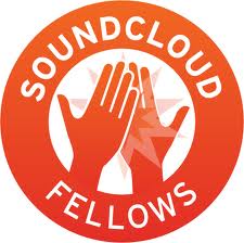 leave 1 detailed comment on each of your Soundcloud tracks and send you a detailed email on how to improve your sound for 