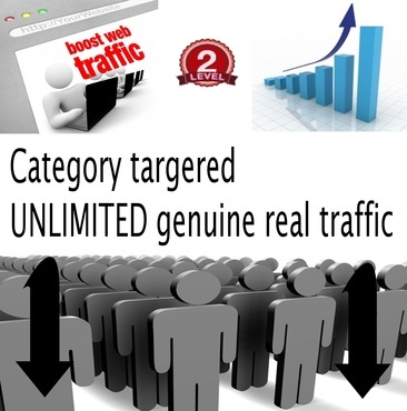 drive unlimited targeted real traffic to your website for one month