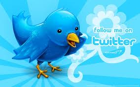 sent high quality 63+ real usa twitter followers your webpage or blog within 3 hours for