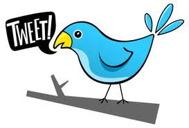 provide REAL 2241+++ twitter followers in your twitter followers area for