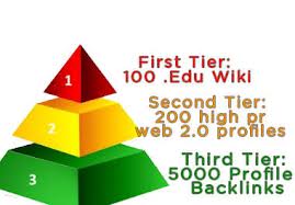  create an awesome seo PYRAMID which includes edu wikis high page rank web profiles and 5000 xrumer profile backlinks