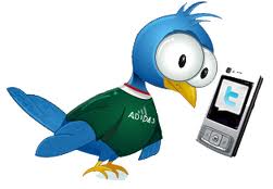  shout about your products,business,brands etc to my 16000+ follwers on fb fan page,twitter and pin it on pinterest having 1000 followers for