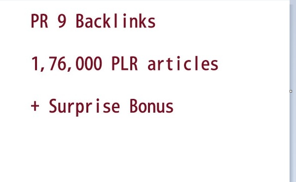 manually create 12 unique Pr 9 backlinks + 1,76,000 PLR articles+ surprise bonus
