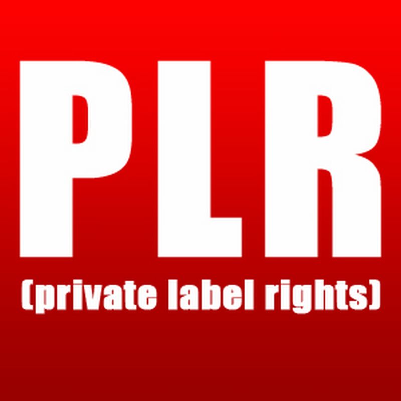 give you 1240 Internet Marketing PLR articles