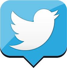 add 13000 TopQuality Permanent Twitter Followers to Your Twitter Account within 26 hour