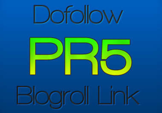 give you a PR5 Finance / Pay Day Loan DoFollow Homepage Link