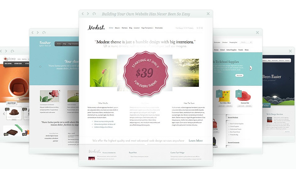 give you any wodrpress template from elegantthemes