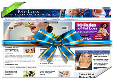make a gorgeuos WP blogs for the nich you want 