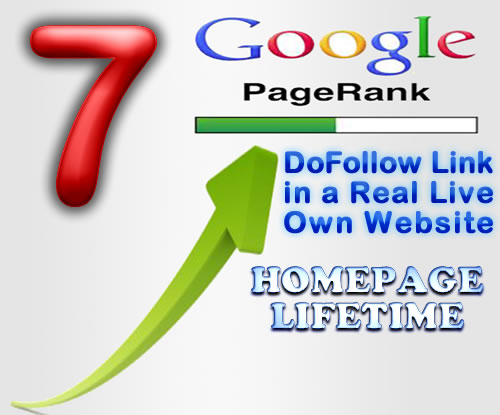 place your link on my PR7 Homepage dofollow blogroll sitewide backlink to boost your website