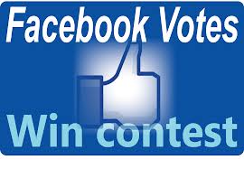 send 20 facebook votes to any contest apps, with unique ip address