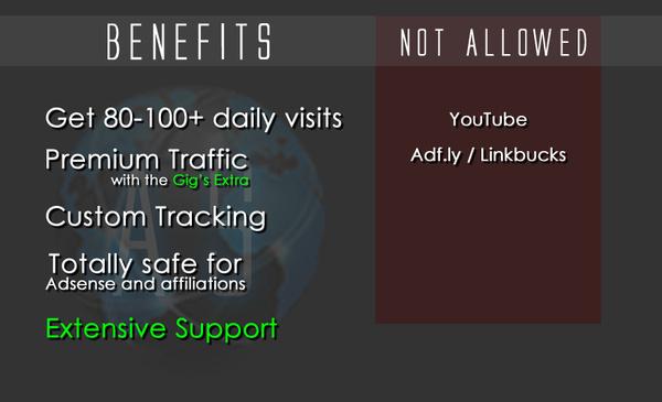 drive UNLIMITED genuine real traffic to your website for one month