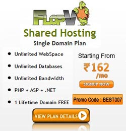 100GB Cpanel reseller hosting 