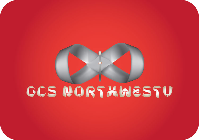 design a professional vector based logo to enhance your business profile