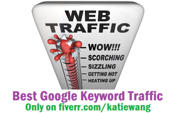 send you 3000+ Google Keyword targeted traffic with Guarantee - low price - 