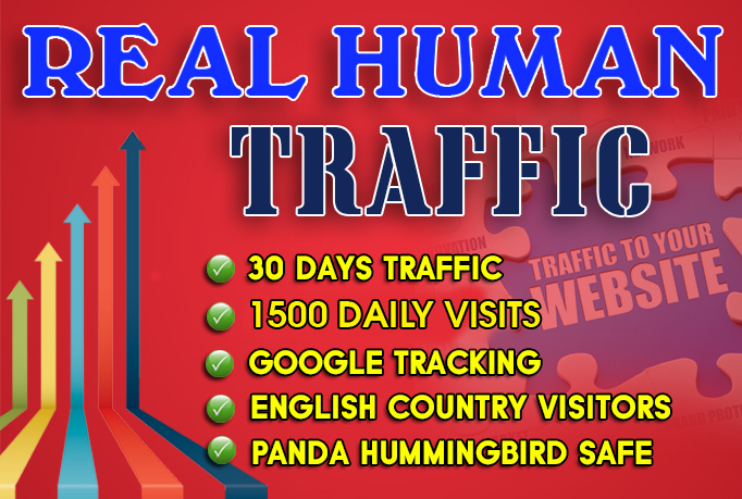 drive 1100 daily website traffic visitors for 30 days for $10