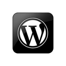 I will fix Your Wordpress Problem or Error or Issue
