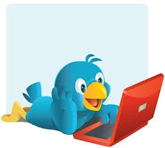 give you 1500+ twitter followers within 24 hours