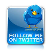 Give You 600 Twitter Followers On your Page Only