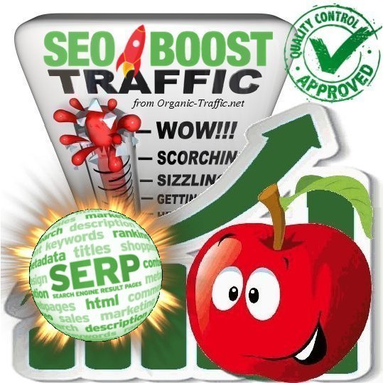 Real human visitors via Ask, Bing, Google, Yahoo by Keywords to your website (SEO BOOST)