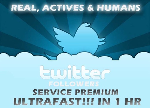 Send 300 Retweet & 1,300 to your account [STAY FOREVER] REAL Active and Human Followers on Twitter
