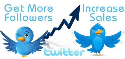 give you 100% real & safe and verified 500+ Twitter Followers for 