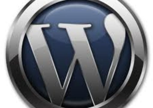 I will solve your Wordpress blogs css,html and other wordpress issues@!@