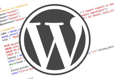 I will modify your wordpress blog/website as per your needs @!@