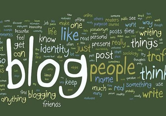 I will create A Macro Niche Based Blog With 5 Unique High Quality Articles only 